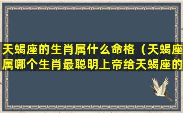 天蝎座的生肖属什么命格（天蝎座属哪个生肖最聪明上帝给天蝎座的8个天赋）