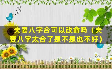 夫妻八字合可以改命吗（夫妻八字太合了是不是也不好）