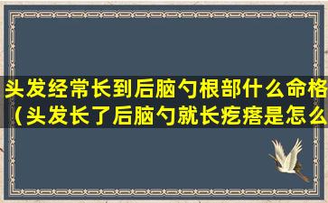 头发经常长到后脑勺根部什么命格（头发长了后脑勺就长疙瘩是怎么回事）