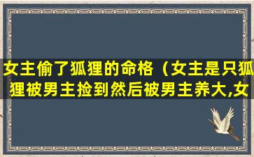 女主偷了狐狸的命格（女主是只狐狸被男主捡到然后被男主养大,女主比较单纯）