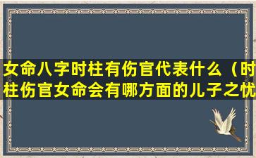 女命八字时柱有伤官代表什么（时柱伤官女命会有哪方面的儿子之忧）