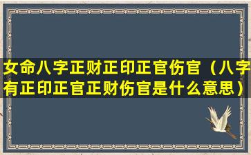 女命八字正财正印正官伤官（八字有正印正官正财伤官是什么意思）