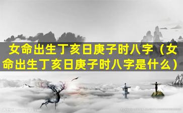 女命出生丁亥日庚子时八字（女命出生丁亥日庚子时八字是什么）