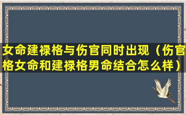 女命建禄格与伤官同时出现（伤官格女命和建禄格男命结合怎么样）