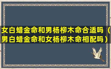 女白蜡金命和男杨柳木命合适吗（男白蜡金命和女杨柳木命相配吗）