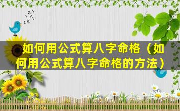 如何用公式算八字命格（如何用公式算八字命格的方法）