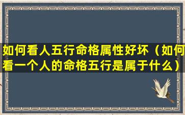 如何看人五行命格属性好坏（如何看一个人的命格五行是属于什么）