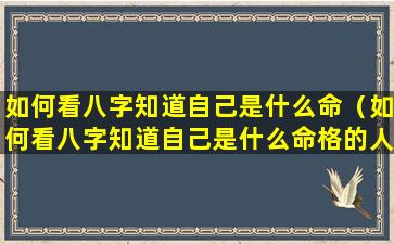 如何看八字知道自己是什么命（如何看八字知道自己是什么命格的人）