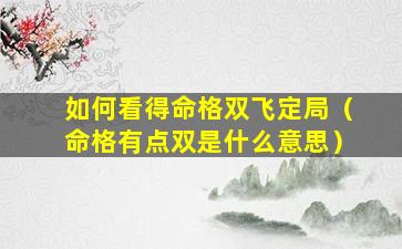 如何看得命格双飞定局（命格有点双是什么意思）