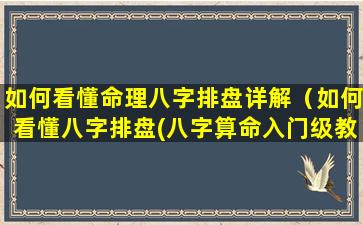 如何看懂命理八字排盘详解（如何看懂八字排盘(八字算命入门级教程)精编版）