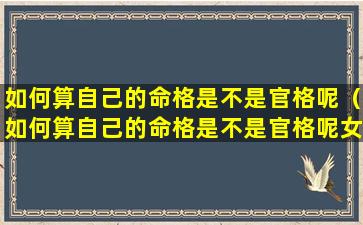 如何算自己的命格是不是官格呢（如何算自己的命格是不是官格呢女生）