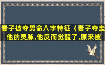 妻子被夺男命八字特征（妻子夺走他的灵脉,他反而觉醒了,原来被夺走的是杂质!）