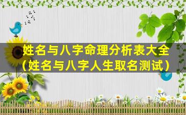 姓名与八字命理分析表大全（姓名与八字人生取名测试）