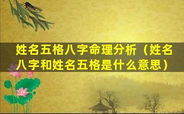 姓名五格八字命理分析（姓名八字和姓名五格是什么意思）