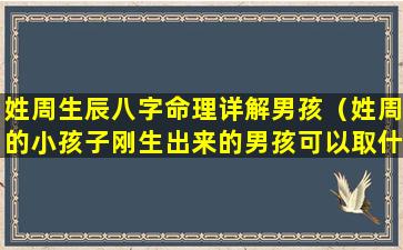 姓周生辰八字命理详解男孩（姓周的小孩子刚生出来的男孩可以取什么名字）