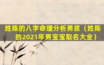 姓陈的八字命理分析男孩（姓陈的2021年男宝宝取名大全）