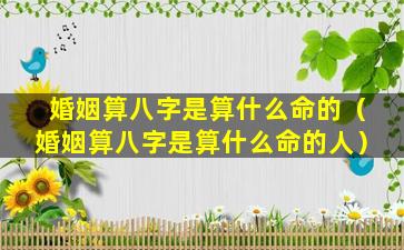 婚姻算八字是算什么命的（婚姻算八字是算什么命的人）