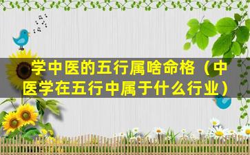 学中医的五行属啥命格（中医学在五行中属于什么行业）