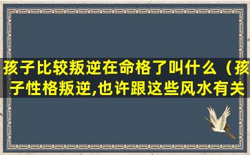 孩子比较叛逆在命格了叫什么（孩子性格叛逆,也许跟这些风水有关）