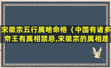 宋徽宗五行属啥命格（中国有诸多帝王有属相禁忌,宋徽宗的属相是）