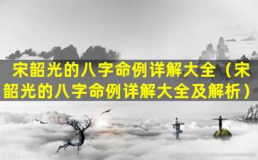 宋韶光的八字命例详解大全（宋韶光的八字命例详解大全及解析）