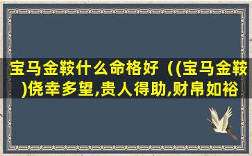 宝马金鞍什么命格好（(宝马金鞍)侥幸多望,贵人得助,财帛如裕,繁荣至上）