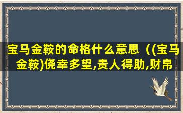 宝马金鞍的命格什么意思（(宝马金鞍)侥幸多望,贵人得助,财帛如裕,繁荣至上）