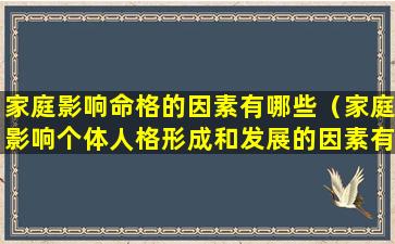 家庭影响命格的因素有哪些（家庭影响个体人格形成和发展的因素有）