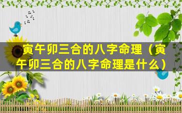 寅午卯三合的八字命理（寅午卯三合的八字命理是什么）