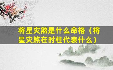 将星灾煞是什么命格（将星灾煞在时柱代表什么）