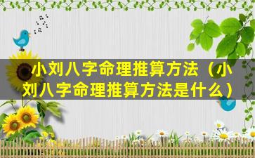 小刘八字命理推算方法（小刘八字命理推算方法是什么）