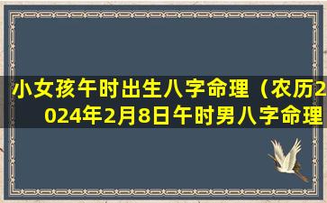 小女孩午时出生八字命理（农历2024年2月8日午时男八字命理）