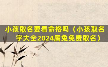 小孩取名要看命格吗（小孩取名字大全2024属兔免费取名）