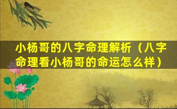 小杨哥的八字命理解析（八字命理看小杨哥的命运怎么样）