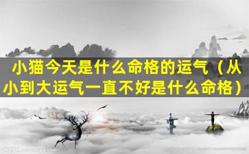 小猫今天是什么命格的运气（从小到大运气一直不好是什么命格）