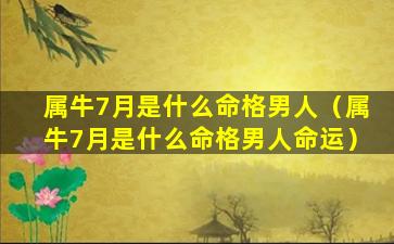 属牛7月是什么命格男人（属牛7月是什么命格男人命运）