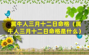 属牛人三月十二日命格（属牛人三月十二日命格是什么）