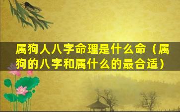 属狗人八字命理是什么命（属狗的八字和属什么的最合适）