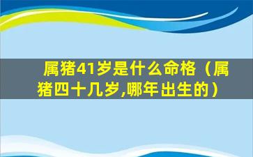 属猪41岁是什么命格（属猪四十几岁,哪年出生的）