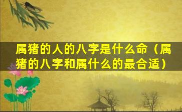 属猪的人的八字是什么命（属猪的八字和属什么的最合适）