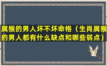 属猴的男人坏不坏命格（生肖属猴的男人都有什么缺点和哪些弱点）