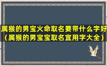 属猴的男宝火命取名要带什么字好（属猴的男宝宝取名宜用字大全）