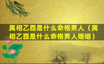 属相乙酉是什么命格男人（属相乙酉是什么命格男人婚姻）