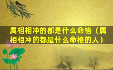 属相相冲的都是什么命格（属相相冲的都是什么命格的人）