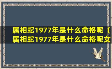 属相蛇1977年是什么命格呢（属相蛇1977年是什么命格呢女孩）