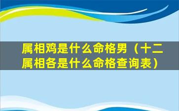 属相鸡是什么命格男（十二属相各是什么命格查询表）