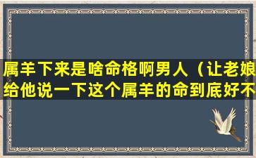 属羊下来是啥命格啊男人（让老娘给他说一下这个属羊的命到底好不好）