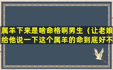 属羊下来是啥命格啊男生（让老娘给他说一下这个属羊的命到底好不好）