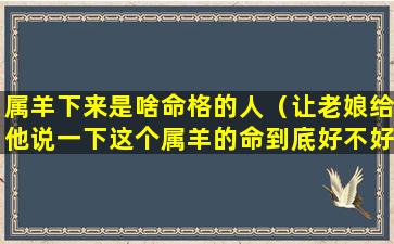 属羊下来是啥命格的人（让老娘给他说一下这个属羊的命到底好不好）