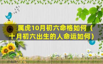 属虎10月初六命格如何（十月初六出生的人命运如何）